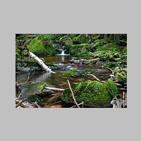 2023_09_17_131_Harz_Ilsenburg_Ilsetal_Wanderung_IMG_1032.jpg